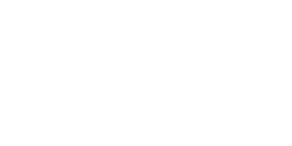 레드 타이거 partner logo