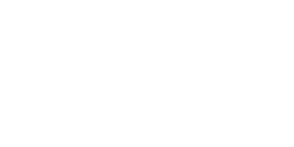 프라그마틱 플레이 partner logo