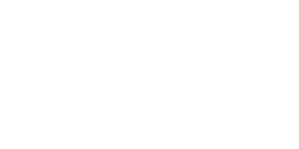 플레이텍 partner logo