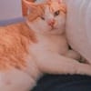 서하준 avatar